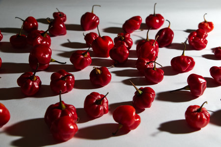Red chilli peppers on white backgroundの写真素材