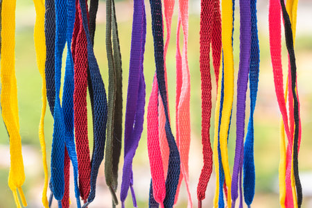 many colorful shoelaces, hanging over a dense jungle background, pointed downの写真素材