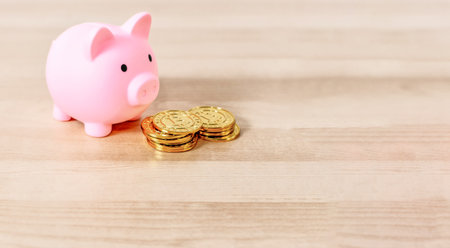 Moneybox. Piggy bank with one golden Bitcoin (new virtual money ) on a wooden background.の写真素材