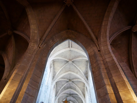 Nice picture of the vault of the gothic cathedral called Notre dame e l'Assomption in Clermont Ferrand built 13 century.のeditorial素材