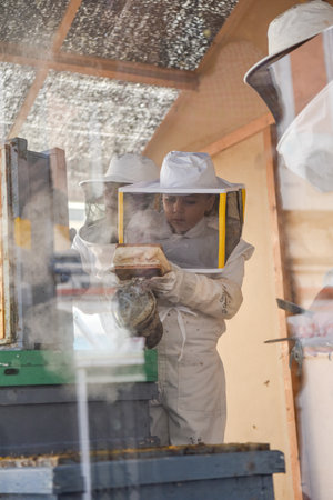 Little girl demonstrating beekeeping inside an urn equipped with hives. Selective focus.の写真素材
