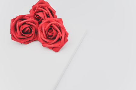 red rose flower head on a blank canvas on white with text spaceの写真素材
