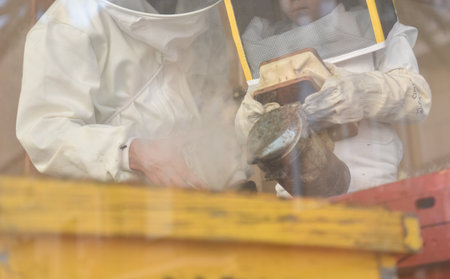 Close-up of beekeeper girl using bee smoker helped by adult beekeeper in apiary. Beekeeping concept....