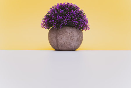 flowering plant in a terracotta vase with lilac flowers on a white yellow background with copy space