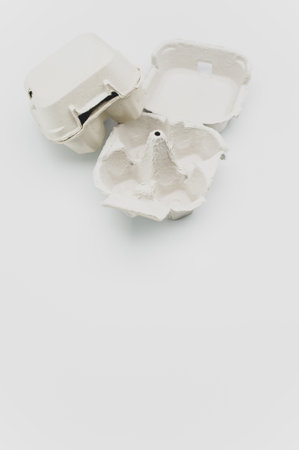 cardboard egg box made of recyclables materials with space for text