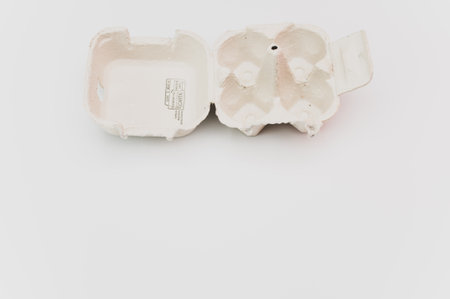 cardboard egg box made of recyclables materials with space for text