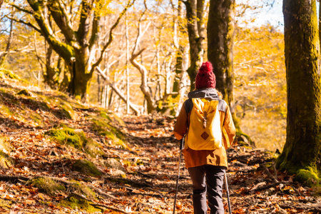 A young hiker visiting the Artikutza natural park at autumn sunset in Oiartzun next to San SebastiÃ¡n, Gipuzkoa. Basque Countryの写真素材