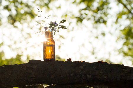 Essential aroma oil on green background. Selective focus, horizontal. Medical Herb Phytotherapy Aromatherapyの写真素材