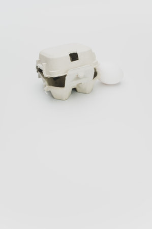 egg in a cardboard egg box made of recyclables materials with space for text