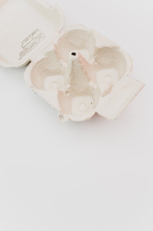 cardboard egg box made of recyclables materials with space for text