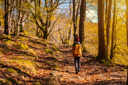A young hiker visiting the Artikutza natural park in Autumn in Oiartzun next to San SebastiÃ¡n, Gipuzkoa. Basque Countryの写真素材