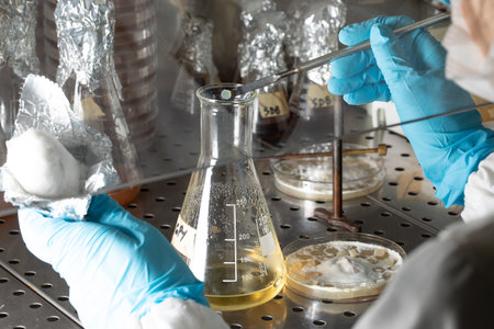 Scientist working in aseptic environment while handling Petri dishes by stacking them under sterile...