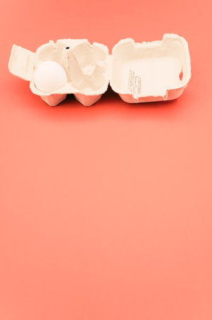 cardboard egg box made of recyclables materials with space for text on a salmon color backgroundの写真素材