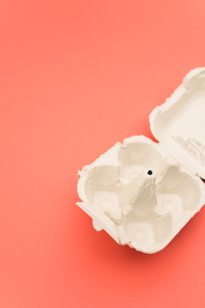cardboard egg box made of recyclables materials with space for text on a salmon color backgroundの写真素材
