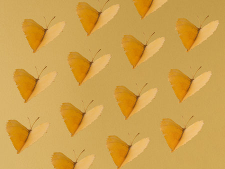 Butterfly pattern made of autumn leaves against yellow pastel background. Minimal nature concept.の写真素材