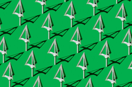 Pattern made of broadhead with sunshine shadow,against green background. Minimal Christmas tree idea.の写真素材