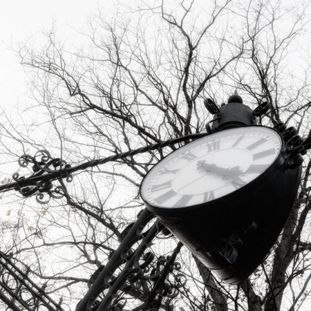 Clock face and trees, low angle view