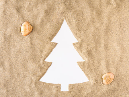 Christmas tree on sand with white background copy space and tropical shells. Minimal concept idea.の写真素材