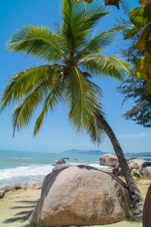 A huge park in the west of Sanya. A very beautiful place with a very nice beach, but also a perfect place for mariage photographers! When I was in this park I saw arround 15 couples takeing marriage pictures in there. A must see for everyone who visit Sanya!の写真素材