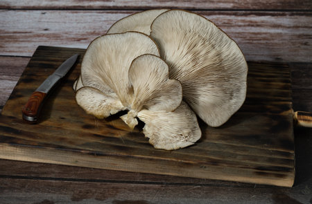 fresh thistle mushrooms freshly picked from the field ready to cook on a wooden background