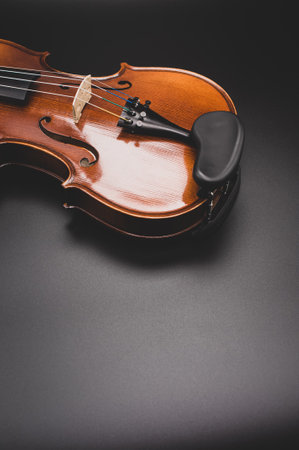 top view of elegant acoustic violin on a dark background with copy spaceの写真素材