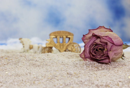 Dried Rose on Beach With Horse Carriage in Background Shallow DOFの写真素材