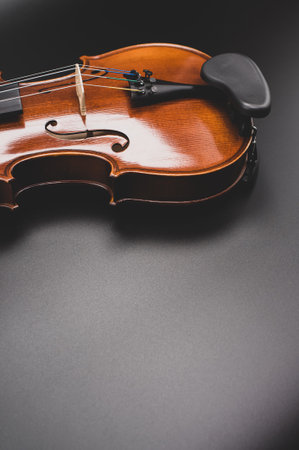 top view of elegant acoustic violin on a dark background with copy spaceの写真素材