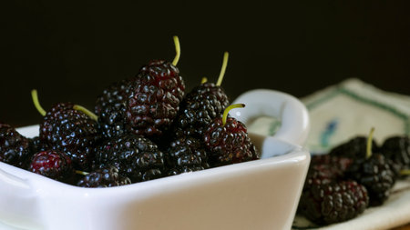 fruits blackberry bowl white blur dark backgroundの写真素材