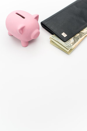 a cute pink piggy bank with wallet and a banknotes wad on a white tabletop with copy spaceの写真素材