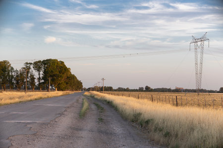 rural road with trees and pasture and transmission towers of high voltage power