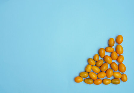 group of kumquats fruits forming a frameの写真素材