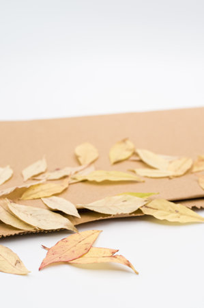 decorative background with yellow autumn leaves and brown paper on a white background with text spaceの写真素材