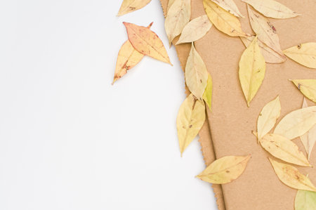 decorative background with yellow autumn leaves and brown paper on a white background with text spaceの写真素材