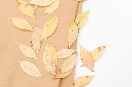 decorative background with yellow autumn leaves and brown paper on a white background with text...