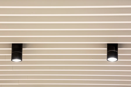 Installation of suspended ceilingsand lightingの写真素材