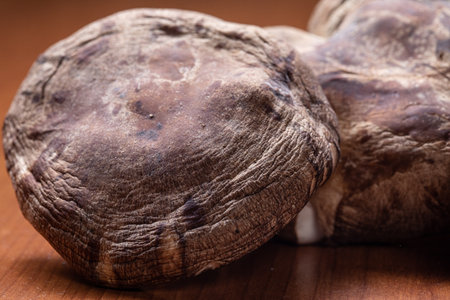 shiitake or Lentinula edodes: the most common culinary mushrooms in the worldの写真素材