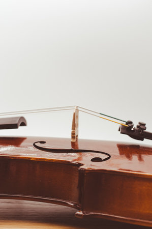 top view of elegant acoustic violin on a wooden background with copy space