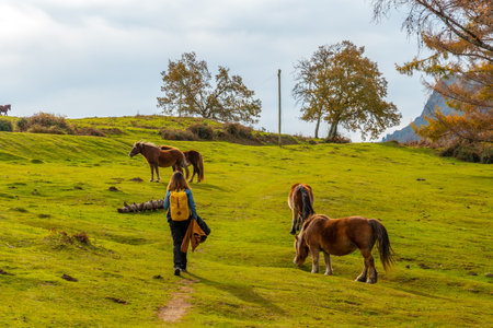 A young woman in the Erlaitz mountain with horses in freedom in the town of Irun, Gipuzkoa. Basque Countryの写真素材