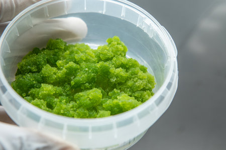 Close-up of a small bottle with a paste to be analyzed by chemist in laboratory at microscope