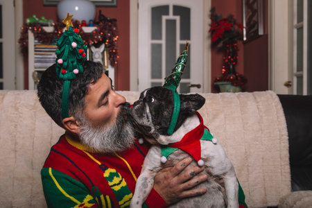 Bearded man at home with his French bulldog dog at Christmasの写真素材