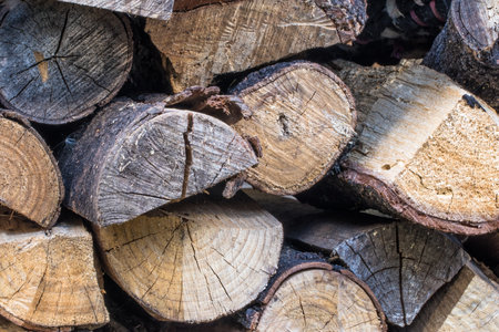 Closeup and background with stack of firewood.の写真素材