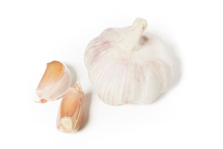 Fresh garlic isolated on white background. Simple garlicの写真素材