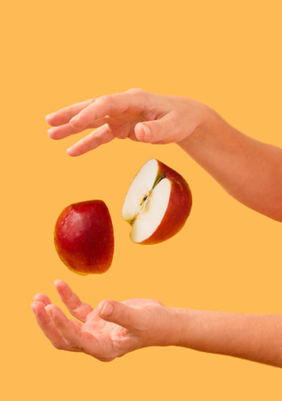 A red apple hovers cut in half between a woman's hands on a yellow backgroundの写真素材
