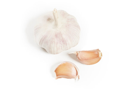 Fresh garlic isolated on white background. Simple garlicの写真素材