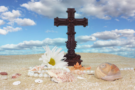 Sea Shells With Cross on Sand, Shallow DOF Focus on Shellの写真素材