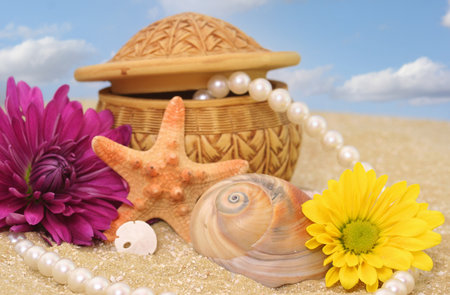 Flowers and Sea Shells on Sand, Shallow DOFの写真素材