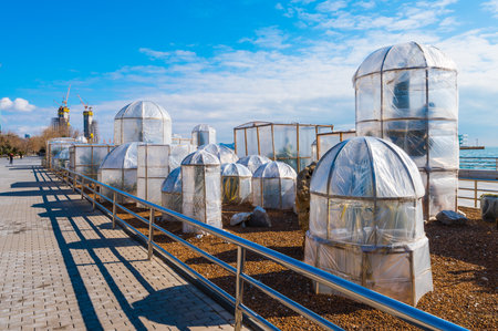 Covered cacti in winter time. Baku National Seaside Parkのeditorial素材
