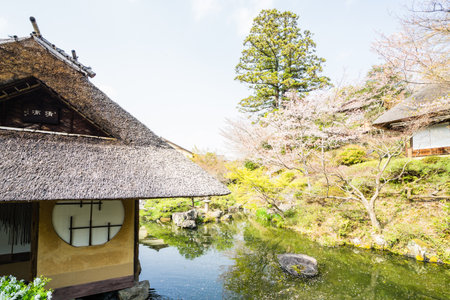 Path of philosophy in Kyoto, Japanの写真素材
