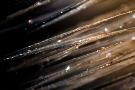 Makeup brush fibers under the microscope. Closeup macro photography.の写真素材