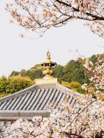 Old district in Kyoto, Japanの写真素材